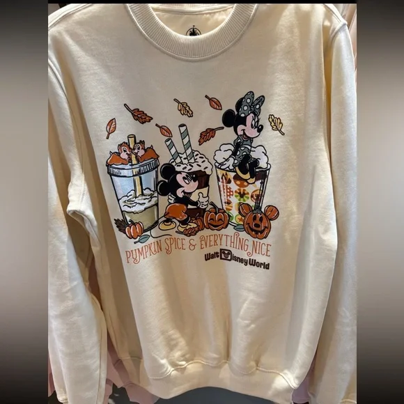 Disney World Parks 2025 Halloween Pumpkin Spice & Everything Nice Sweatshirt - Picture 2 of 2